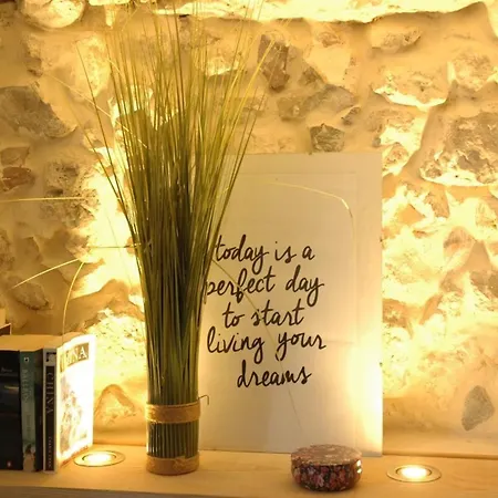 The Massena - Hypercentre - Ac - Old Town Apartamento